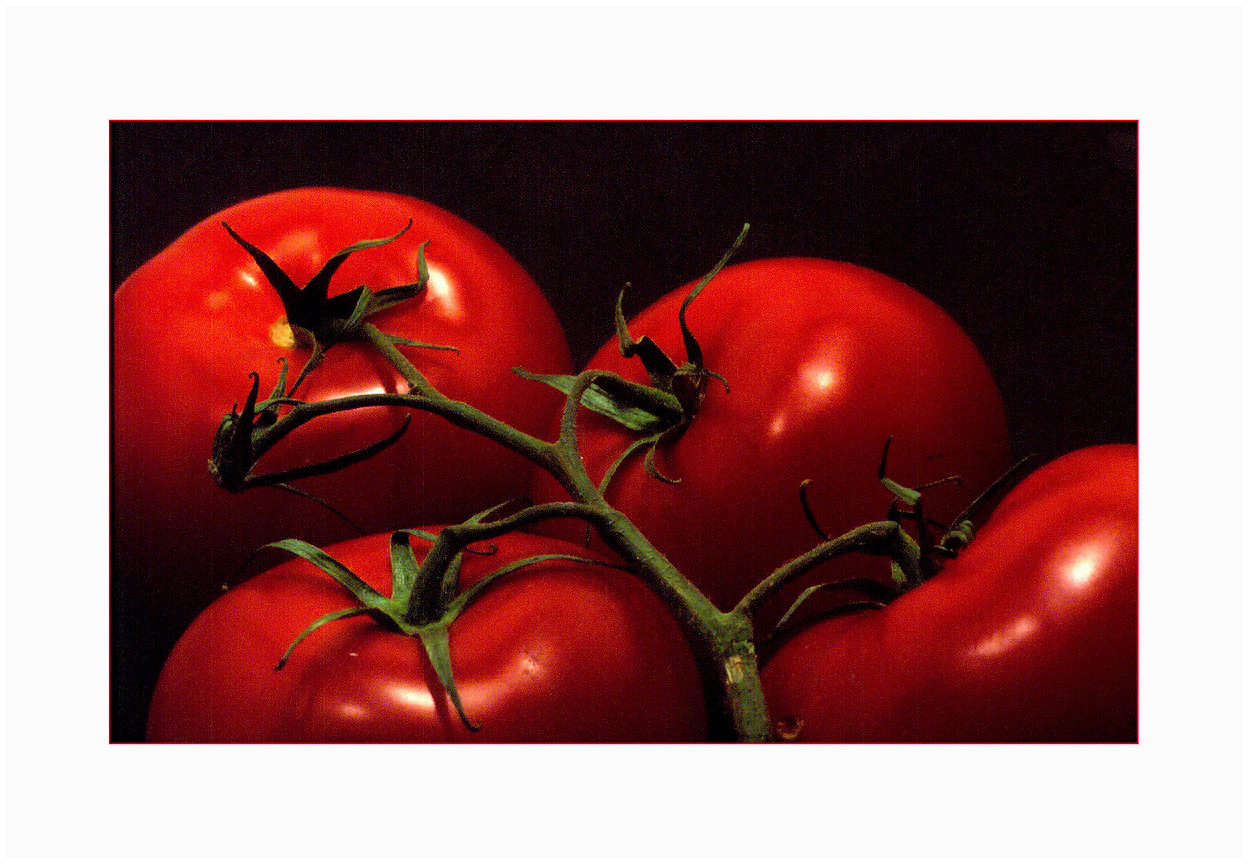 Studio Still, Vine  Ripened Organic Tomatoes.  © High Cascade Studios