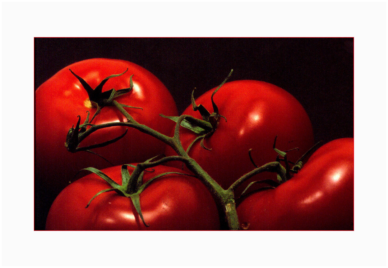 Studio Still, Vine  Ripened Organic Tomatoes.   High Cascade Studios